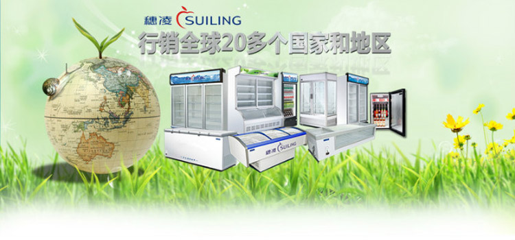 穗凌(suiling)lg4-323lw 323升单温风冷展示立式单门冰柜(白)