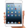 苹果 iPad mini 16G WIFI版（白色）7.9英寸平板电脑
