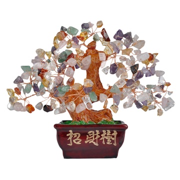 摇钱树捕鱼_摇钱树怎么种