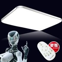 xrock新款LED方形客厅吸顶灯 卧室书房灯具 餐厅灯饰(C款 45×45cm-白光不可调光28W )