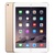 Apple iPad Air 2 WLAN 9.7英寸平板电脑-wifi-16G(金色MH0W2CH/A 16G)