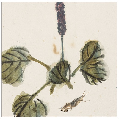 名画复制 传统国画 客厅 卧室 餐厅挂画首选 荷花蜻蜓图 画芯(蝼蛄红