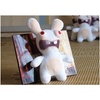 极限挑战黄渤同款兔子龅牙兔公仔小兔抱抱兔搞笑毛绒玩具娃娃生日礼物(白色 25厘米)