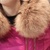 莉妮吉尔2016冬装新款韩版显瘦潮流时尚修身保暖真貉子毛领PU皮加厚羽绒棉衣中长款女(米色 L)第5张高清大图