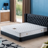 梦玛尼床垫席梦思床垫弹簧床垫棕垫普通床垫1.5米椰棕1.8米床垫双人床垫(1.5*2.0)