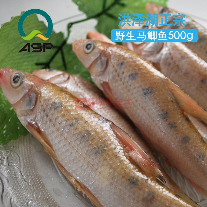 爱食派洪泽湖优质水产品马鲫鱼500g野生特产