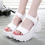羊骑士2015年春夏季新款女鞋潮流韩版透气松糕鞋(白色 37)