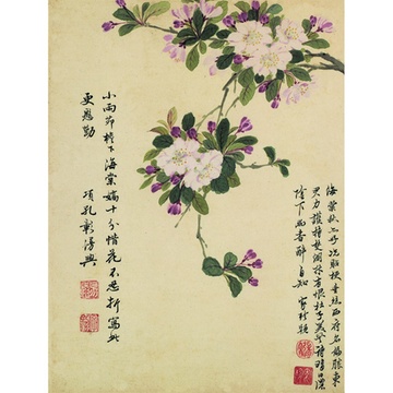 【原作高清复刻 名画《花卉图十开-折枝海棠》册页 纸本 嘉兴派 清